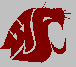 WSU Logo